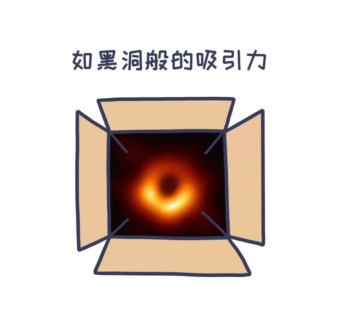 猫为什么对纸箱如此着迷？