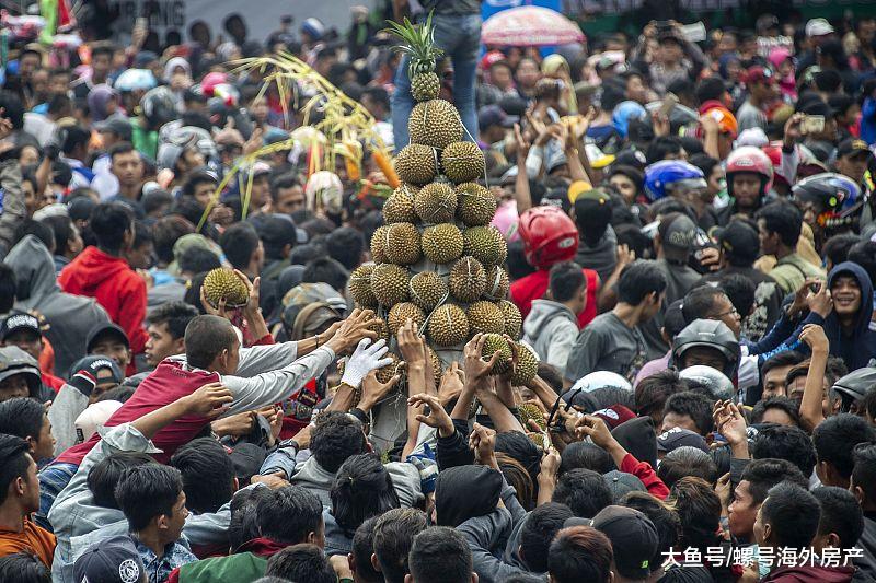 你一定不知道，柬埔寨的榴莲才是榴莲界的王者！