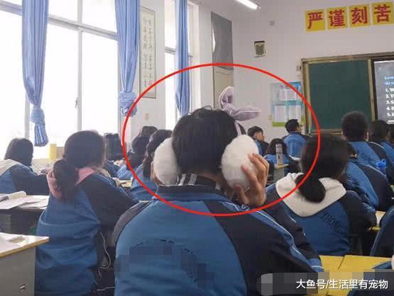 小學生個個都是人才，奇思妙想怪異舉動，老師家長哭笑不得！