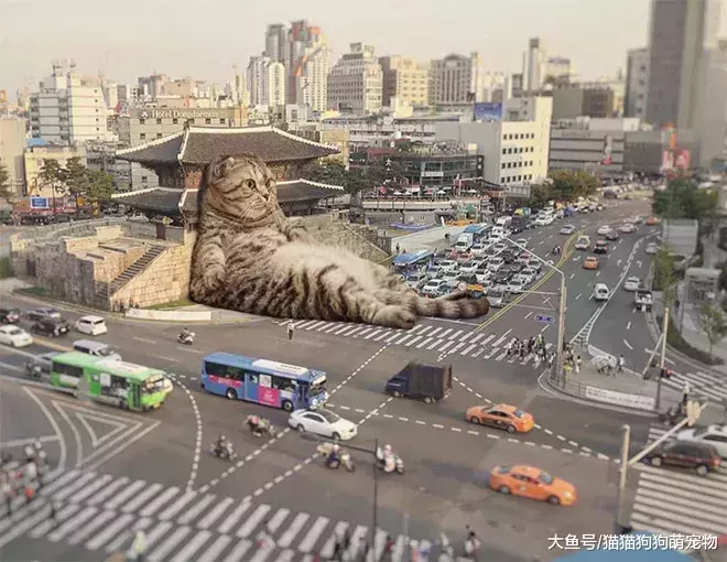 假如巨猫占领城市