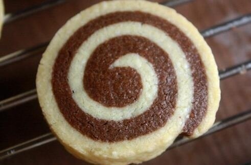 这绝对是待遇最差的一届猫咪