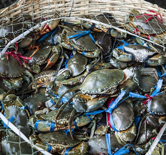 什么样的海鲜才称之为海鲜，什么地方的海鲜说不完，镇江海鲜