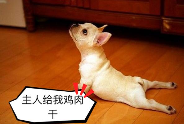 狗狗深爱着主人的5大表现，你家狗狗中了几种