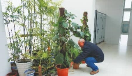 一大爷提醒！夏天养花，这1种水不能浇花，否则浇一盆死一盆，一定要记住！