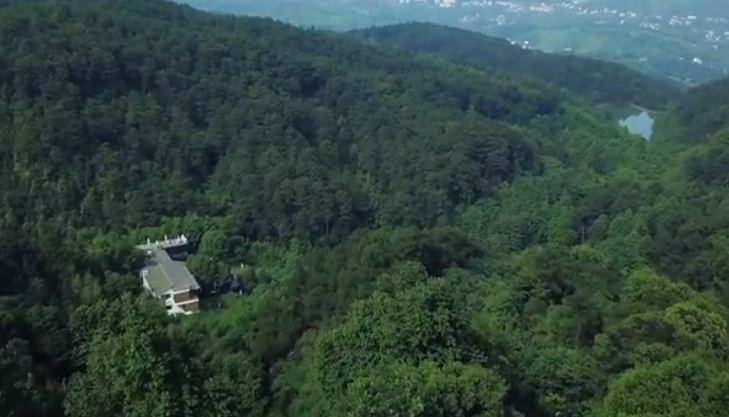 一家人倾家荡产，只为过上隐世生活，网友：“令人羡慕”！