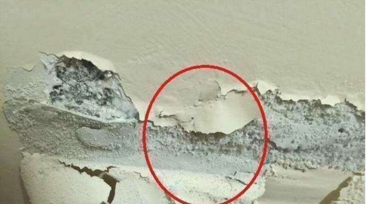 建议大家：墙面漏水脱皮不要急，瞧老外怎么做，网友：太赞了