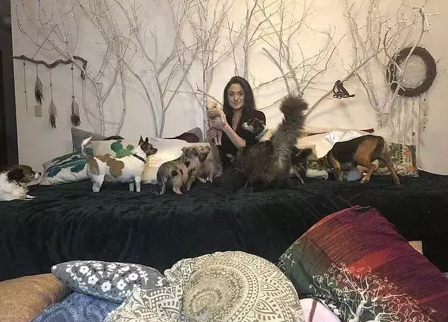 看到這個在家養了90只動物的姑娘，貓狗雙全已經不能滿足我了……