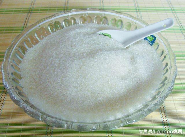 植物的叶子老是发黄，学会这3个小妙招，不用3天就绿油油