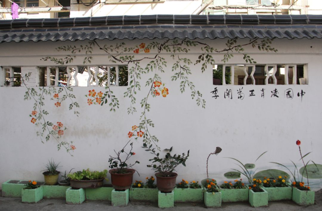 居民动手DIY，打造心中“最美阳台”~