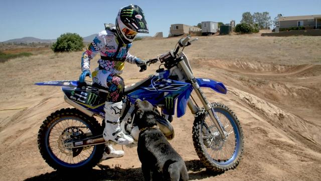 带狗狗进行花式摩托车表演，主人被喷虐待狗狗，主人澄清这是替身