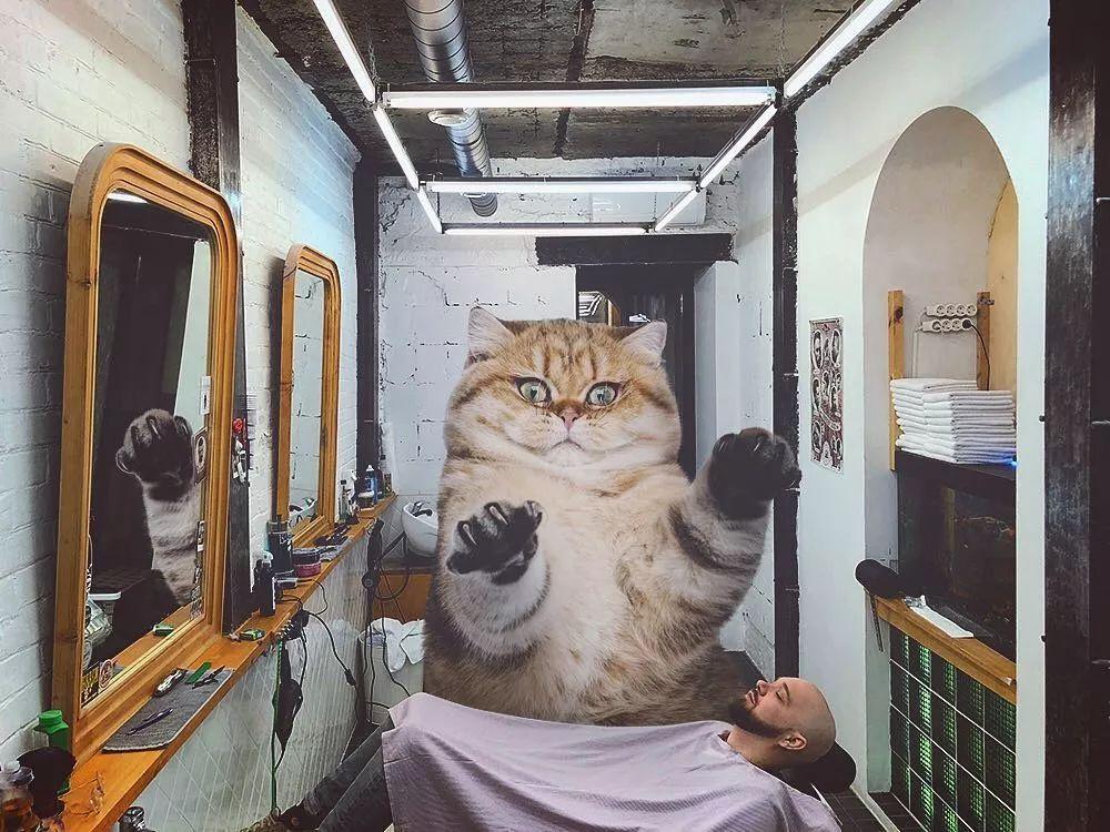 他养了一只3米高的猫，私密照曝光后，10万人云撸猫！