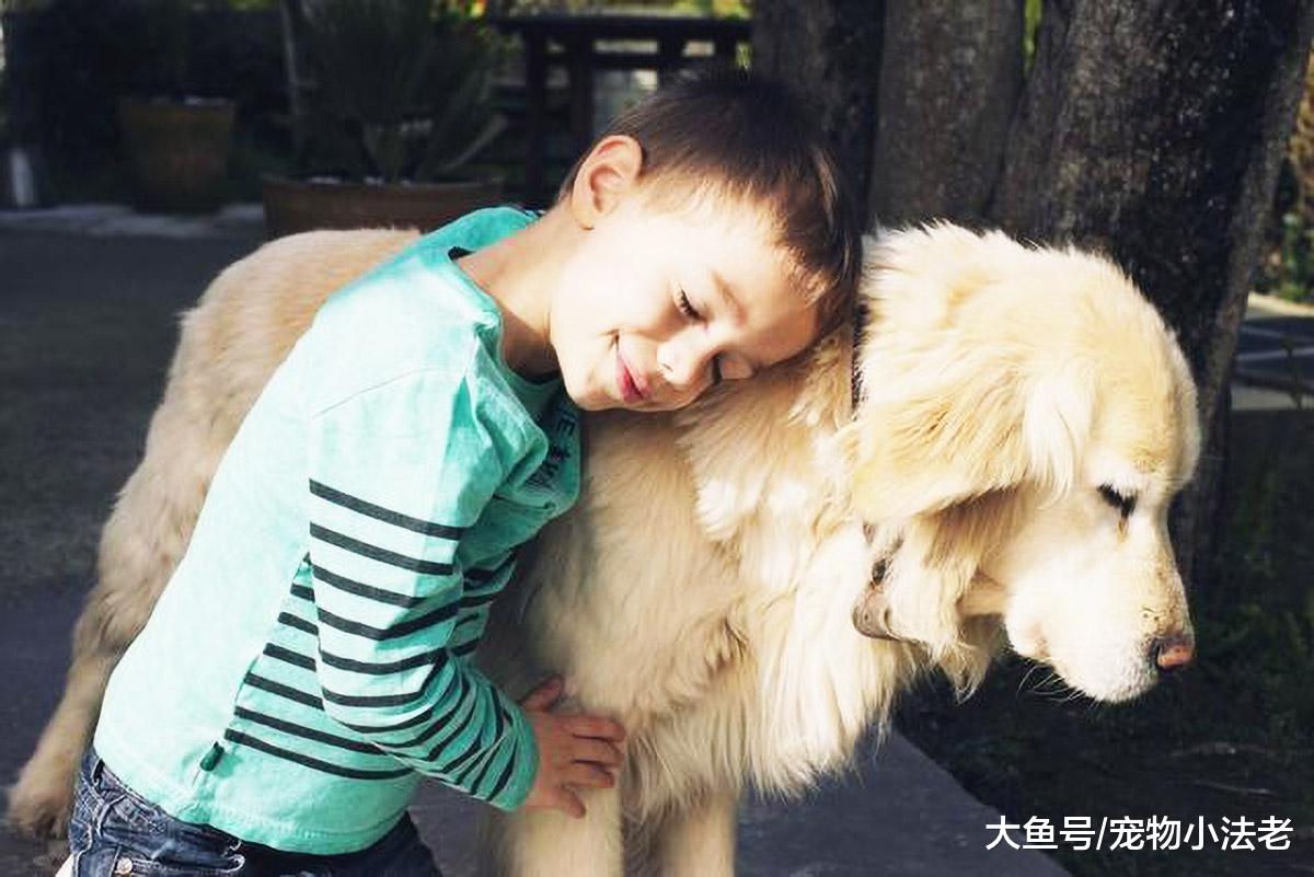 很难知道流浪狗的年龄？只需记住这4种方法，就能快速推断出年龄