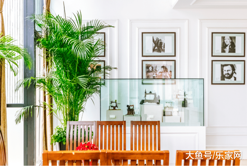 这5种花去除甲醛最快，装修结束一定要放，可以快速入住！