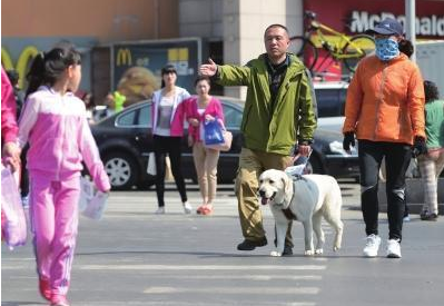 怒不可遏！导盲犬被主人狠狠踹在头部，导致狗狗重伤