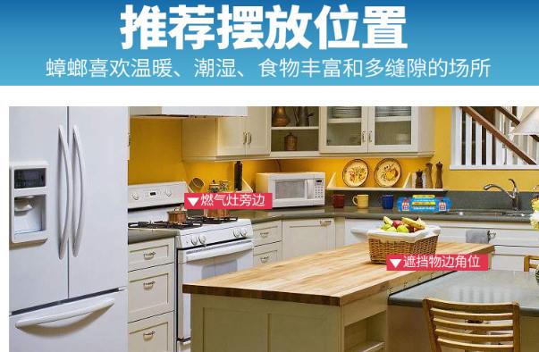 蟑螂没有天敌？科学家最新发现一种虫子，对付前者非常管用