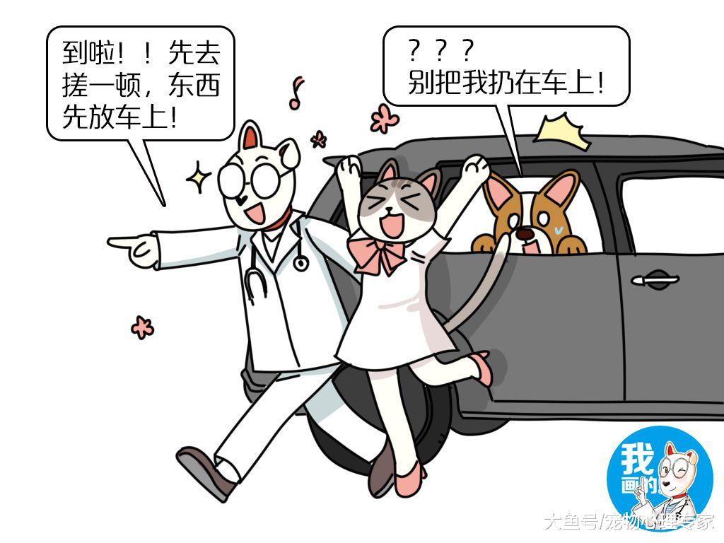 五一你玩爽了，考虑过留守狗的想法吗？世界那么大它也想去看看