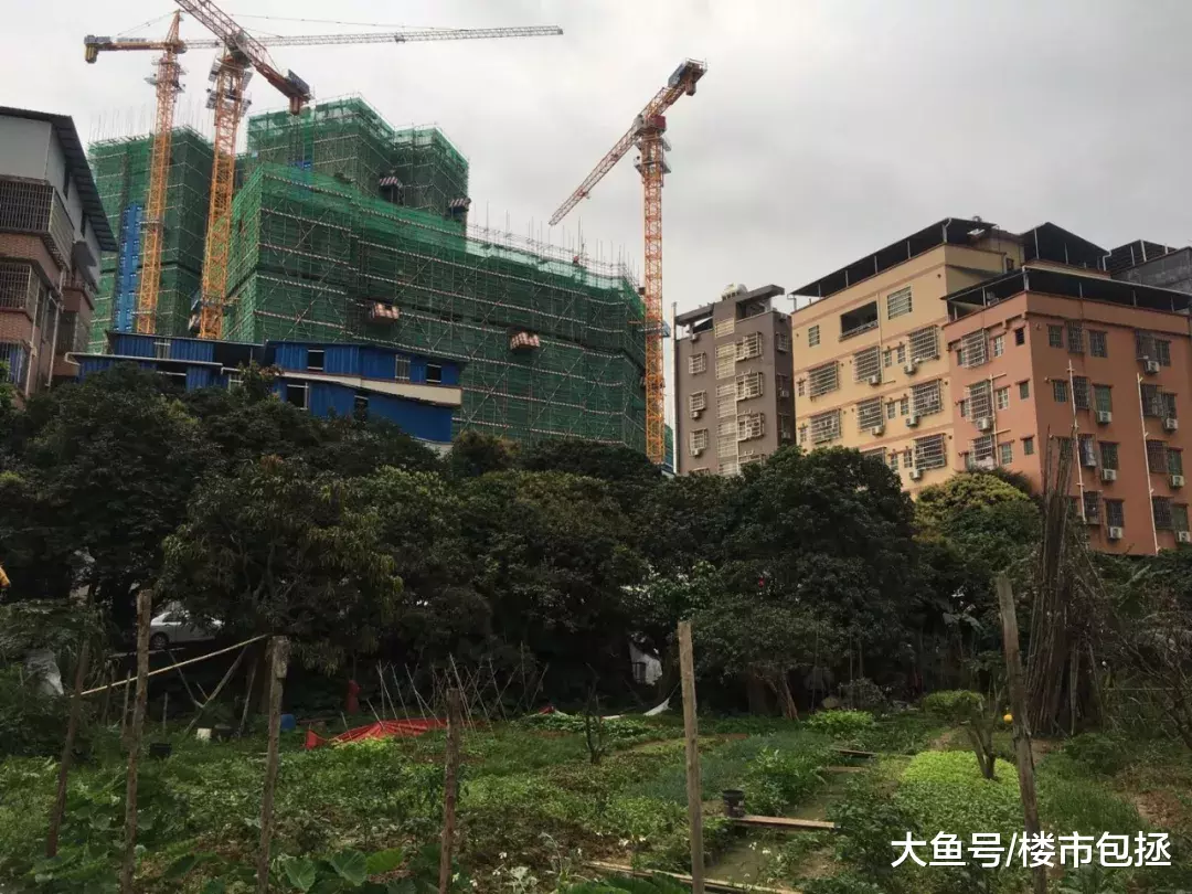 实探大塱村旧改现状，房东说一年之内拆不了！