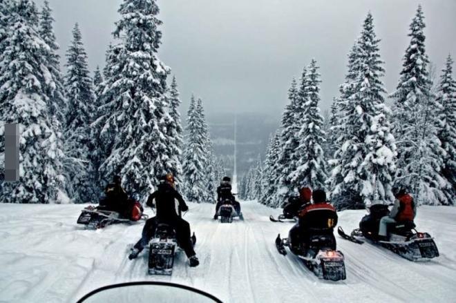 世界各国最奇特的国界线：中蒙边境线是两只建筑恐龙