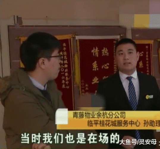 花30多万院子里种桂花树, 没有通知就被砍掉, 女子: 谁来赔偿我