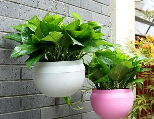 孩子突发白血病，环保行业的朋友告诫：这几样装修材料应慎用！