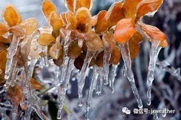 江西多地最低氣溫跌至0℃ 陰雨模式持續霸屏