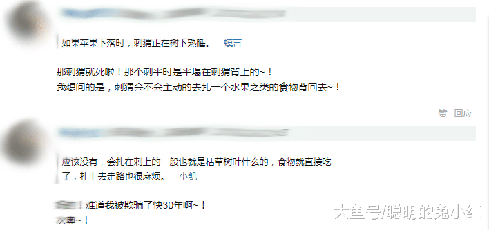 刺猬用刺扎苹果，再背回去？网友：被“骗了”近三十年