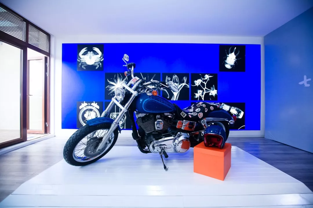 活动丨七彩云南·好物，向世界传递云南心意