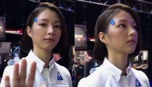 日本“女性机器人”面世，能提供3种服务惹争议，网友：注孤生了