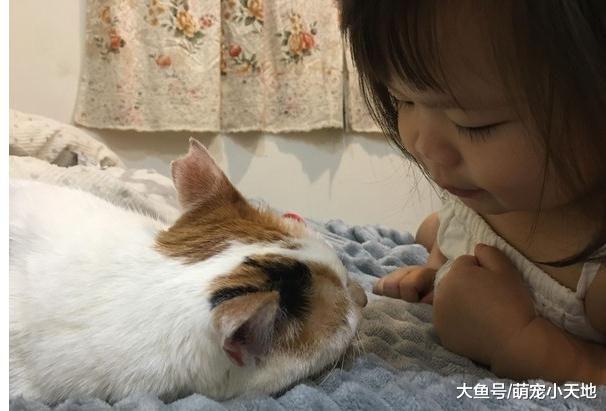 2岁萌妹奶音狂喊宝贝：不可以生气我！喵无奈回应笑翻网友