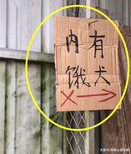 大伯门口亮牌内有“饿犬”，男子嘲笑他没文化，瞧见狗后闭上了嘴
