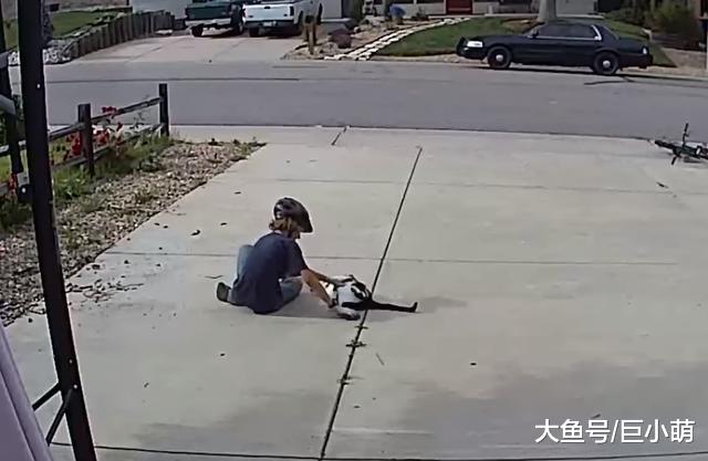 邻居男孩疯狂撸猫，撸到躺地上，主人：很开心他不嫌弃独眼猫咪
