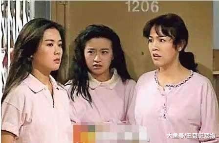 还记得《大时代》吗？郑少秋和刘松仁“子女”如今命运大不相同