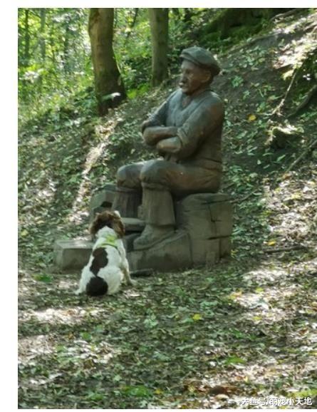 傻汪用眼神求“路人”陪玩，惨遭无视后气嘟嘟，主人瞄一眼笑歪