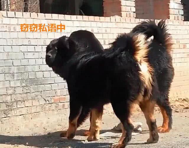媽媽帶孩子回農村娘家，一轉眼不見了蹤影，找到時嚇出一身冷汗
