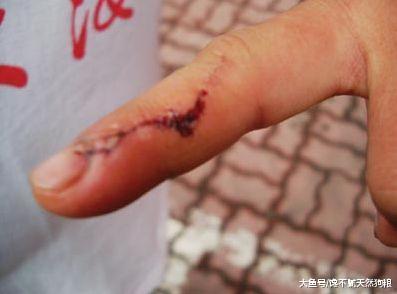 千万不要随便打狗狗，会有这5个严重的后果，很严重！