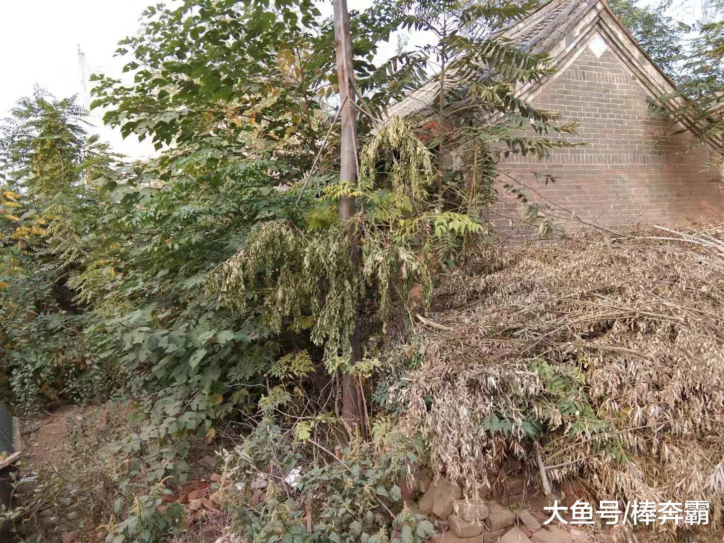 农村很多老宅依旧能住人，但只要无人居住，必定塌，为啥呢