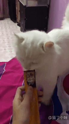 这个吻的味道有点上头