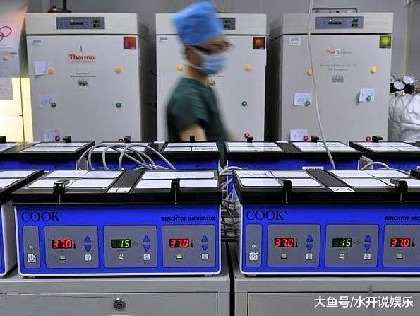 揭秘试管婴儿全过程（附图），看完后心疼女性一万遍