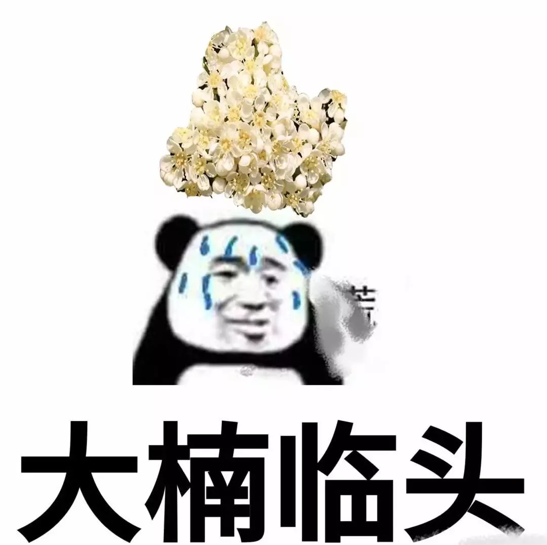 糟心植物大pk，谁是赢家？