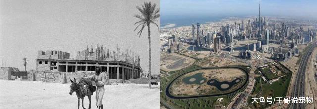 迪拜到底有多富有？贫穷限制了我们的想象力