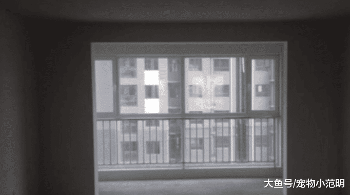 真正懂得生活质量的人，是如何选房子的？