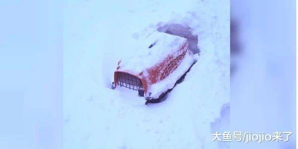 喪良心！零下50度的天氣被主人棄養，整個籠子被埋雪中……