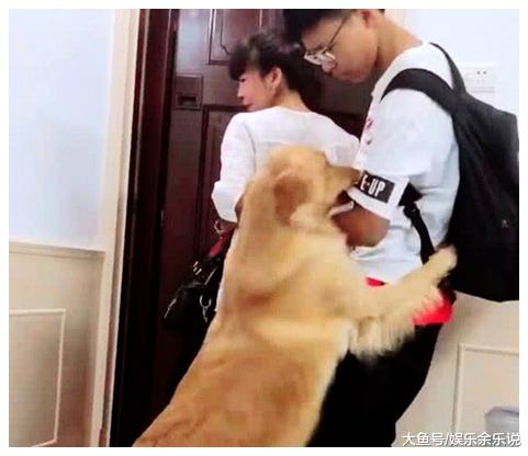 金毛以为女子要分家离开，急忙抱住女子，金毛的模样让人心碎