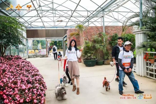 彩跑现场|作为广州人, 和狗开年彩跑好彩到爆