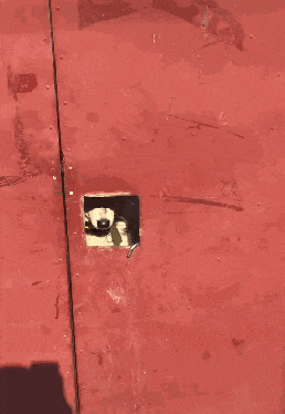 门洞里有双眼睛, 网友好奇看了眼, 接着立马笑喷, 二哈: 你找谁?