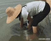 老妈在河边给狗洗澡，总觉得哪里怪怪的：莫名觉得似曾相识