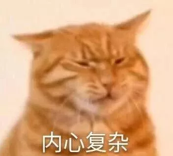 如何判断，对面跟你聊天的是不是一只猫？