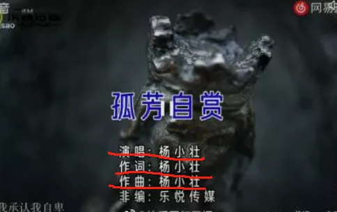 《孤芳自赏》被曝抄袭，全网举报如今下架，杨小壮人设崩塌