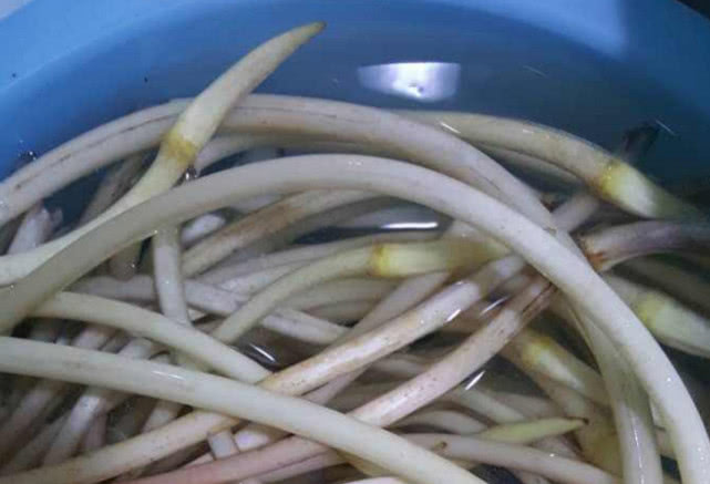 菜市场遇到“这菜”别错过，聪明人有多少买多少，很多人没吃过