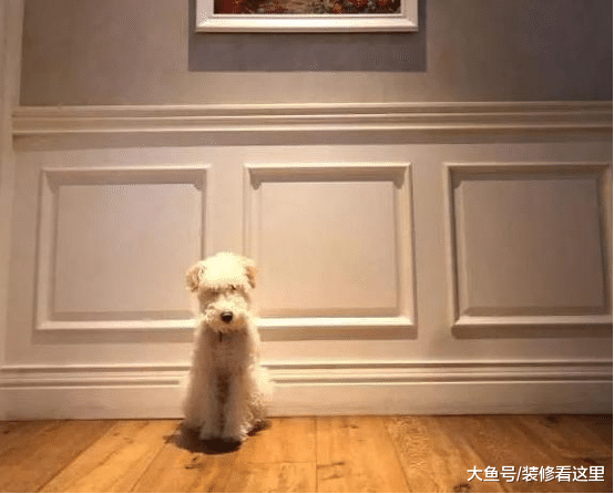 走进李小冉的豪宅装修，房子带有一个小花园，在里面养了不少动物